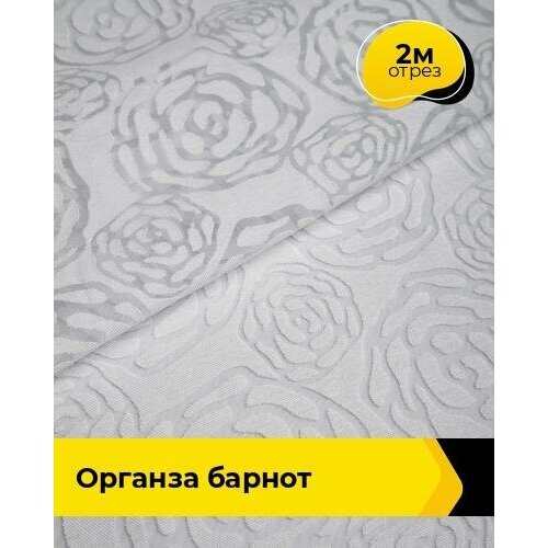 Ткань для шитья и рукоделия Органза Барнот 2 м * 150 см, белый 002 ткань для шитья и рукоделия органза крэш хамелеон 5 м 150 см белый 002