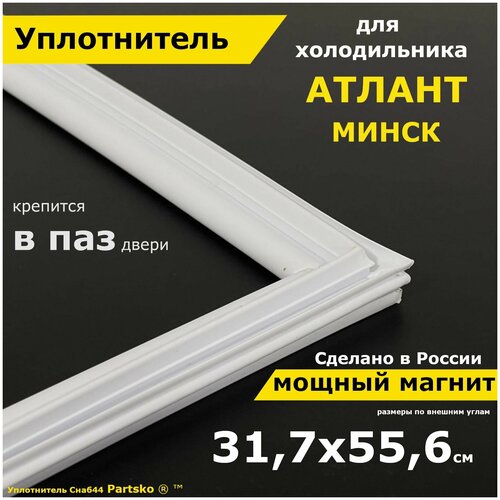 Уплотнитель для двери холодильника Atlant Minsk. 317x556 мм.