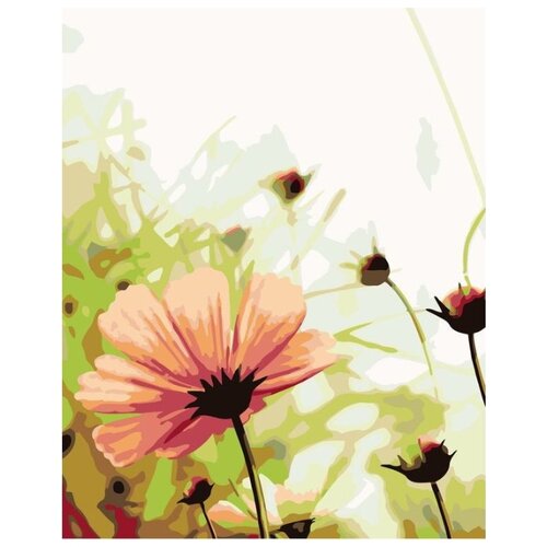 Картина по номерам Полевые цветы, 40x50 см картина по номерам фиолетовые цветы 40x50 см