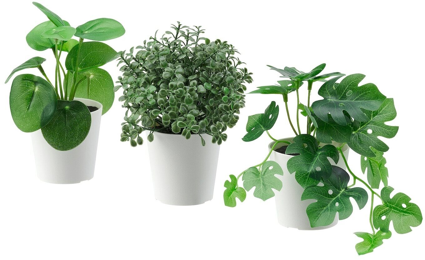 Искусственное растение в горшке,3шт, д/дома/улицы зеленый, 6 см IKEA FEJKA фейка