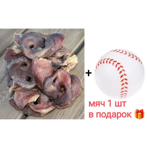 Лакомство для собак Пятаки свиные 200 г