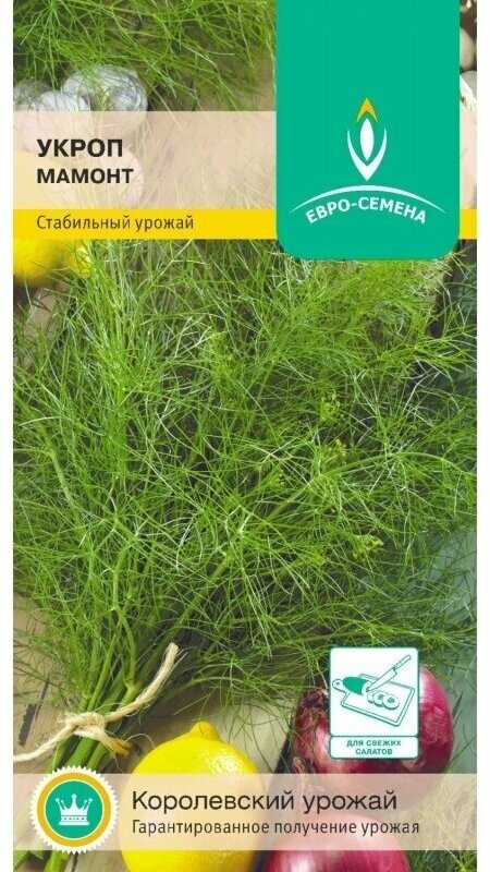 Укроп Мамонт. Семена. Среднеспелый. Период до срезки зелени 45 дней на специи до 88 дней.