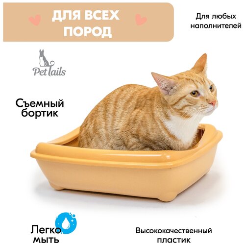 Туалет для кошек PetTails с рамкой глубокий, малый (под наполнитель) 38 х 27 х 10см, бежевый