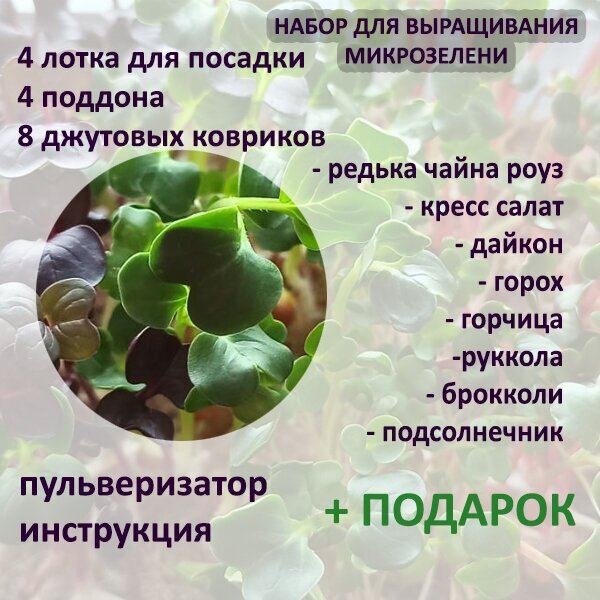 Набор для выращивания микрозелени. 4 лотка, 8 урожаев - фотография № 2