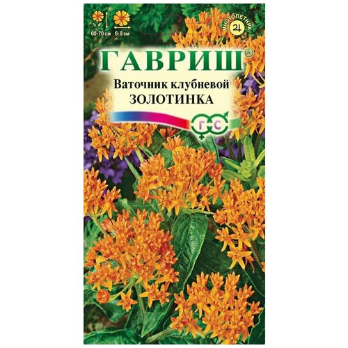 Ваточник Золотинка, многолетник ( 1 уп: 0,03 г) книфофия ягодная селиана многолетник 1 уп 0 05 г