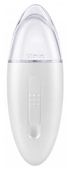 Ультразвуковой распылитель для лица Ultrasonic Facial Steamer, белый - фотография № 1