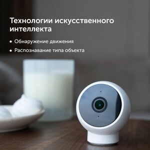 Cámara de Vigilancia IP Xiaomi Mi Camera 2K MJSXJ03HL – Tienda en línea de  Digit@l Solutions