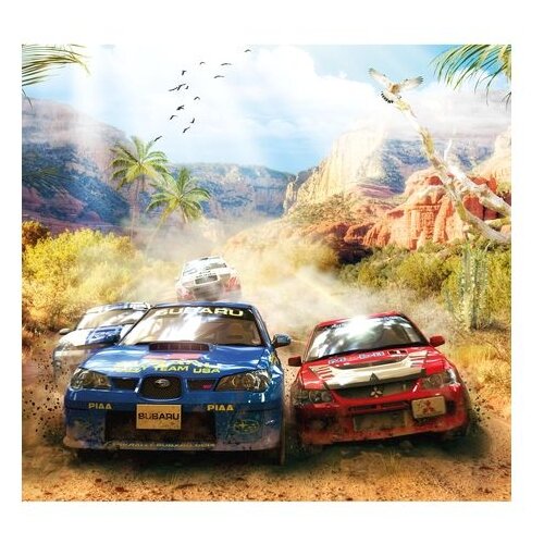 Фотообои 3D Flizart Ралли флизелиновые 300x280 см 11642₽