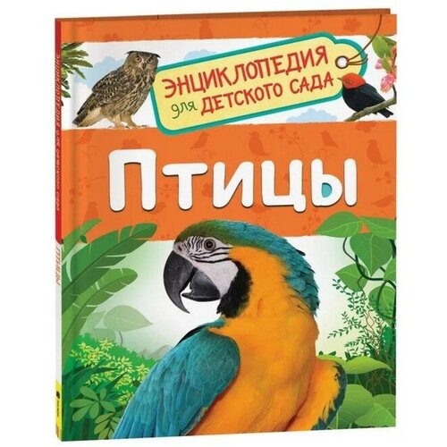 Энциклопедия для детского сада «Птицы», Гальцева С. Н. гальцева с поезда энциклопедия для детского сада