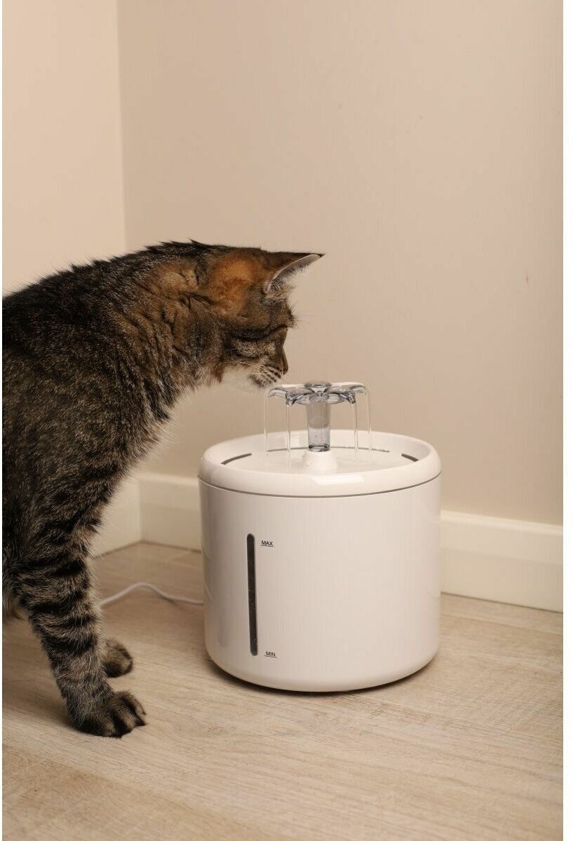 Автоматическая поилка для животных питьевой фонтан для кошек - фотография № 10