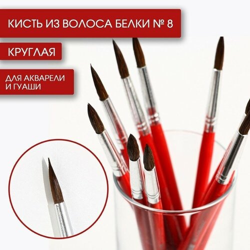 Кисть из волоса белки круглая № 8, (Короткая ручка) 10 шт