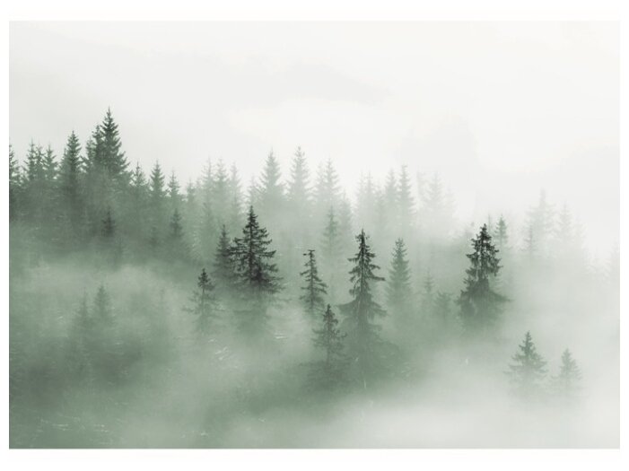 Фотообои бумажные Арт Узор Туманный лес 2х1.4м — купить по выгодной цене на Яндекс.Маркете