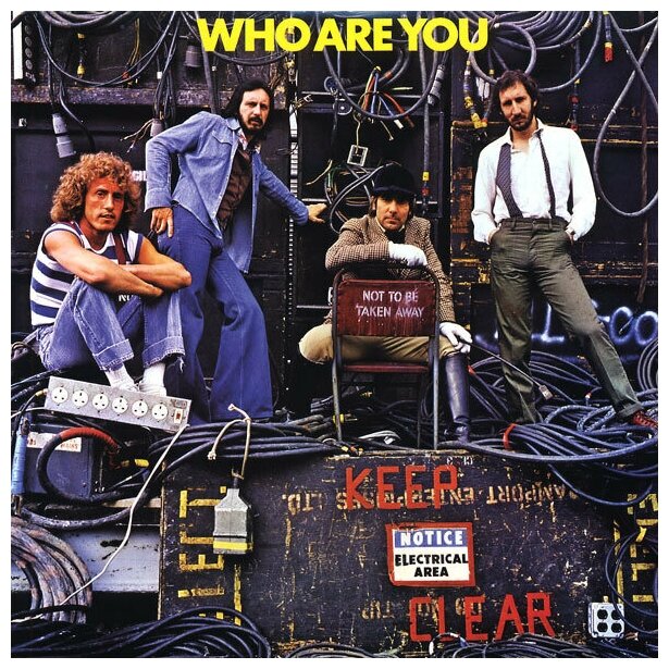 Виниловая пластинка The Who / Who Are You (LP)