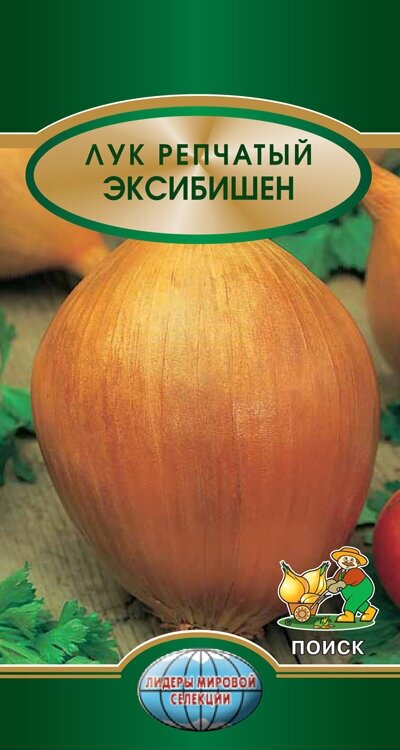 Лук репчатый Эксибишен 0,5гр. (Поиск)