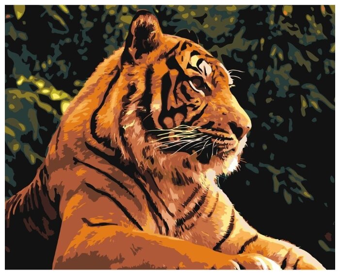 Картина по номерам "Тигр", 40x50 см