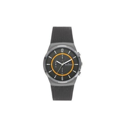 Наручные часы Skagen SKW6804