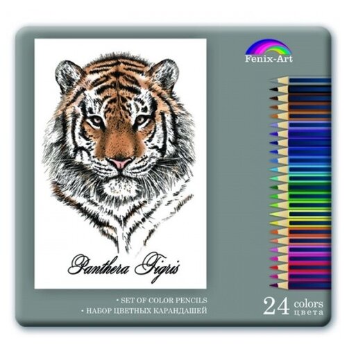 Набор цветных карандашей 