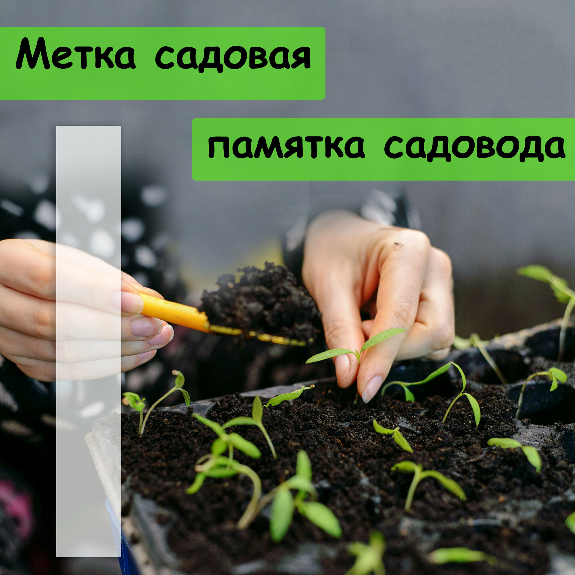 фото Таблички для рассады