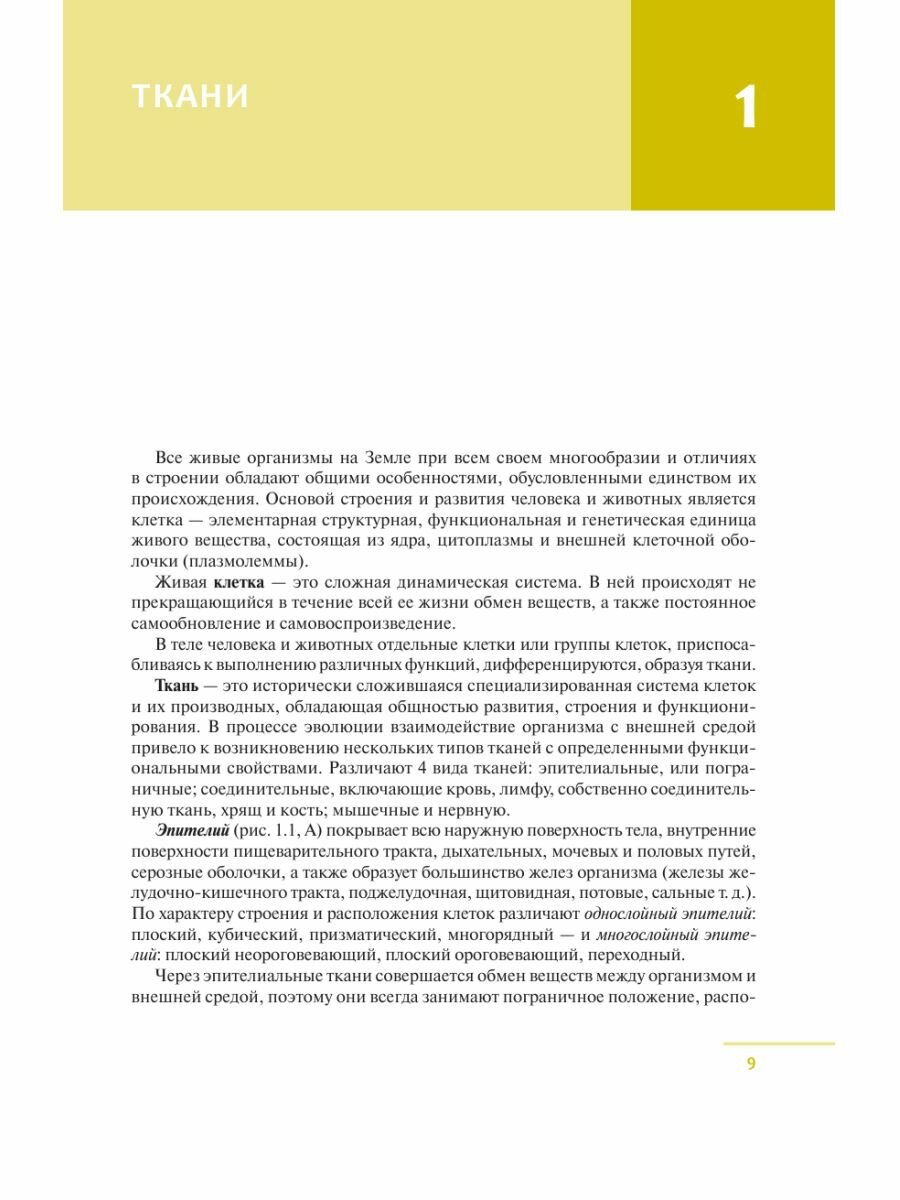 Универсальный атлас анатомии человека с цветными иллюстрациями - фото №14