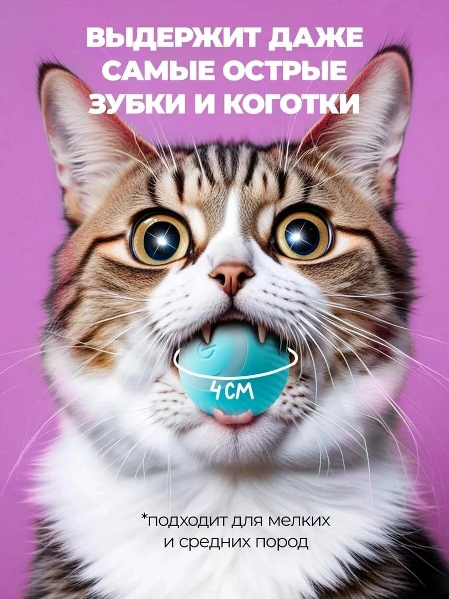 Картинки Мяч робот для кошек котят собак дразнилка игрушка интерактивный синий