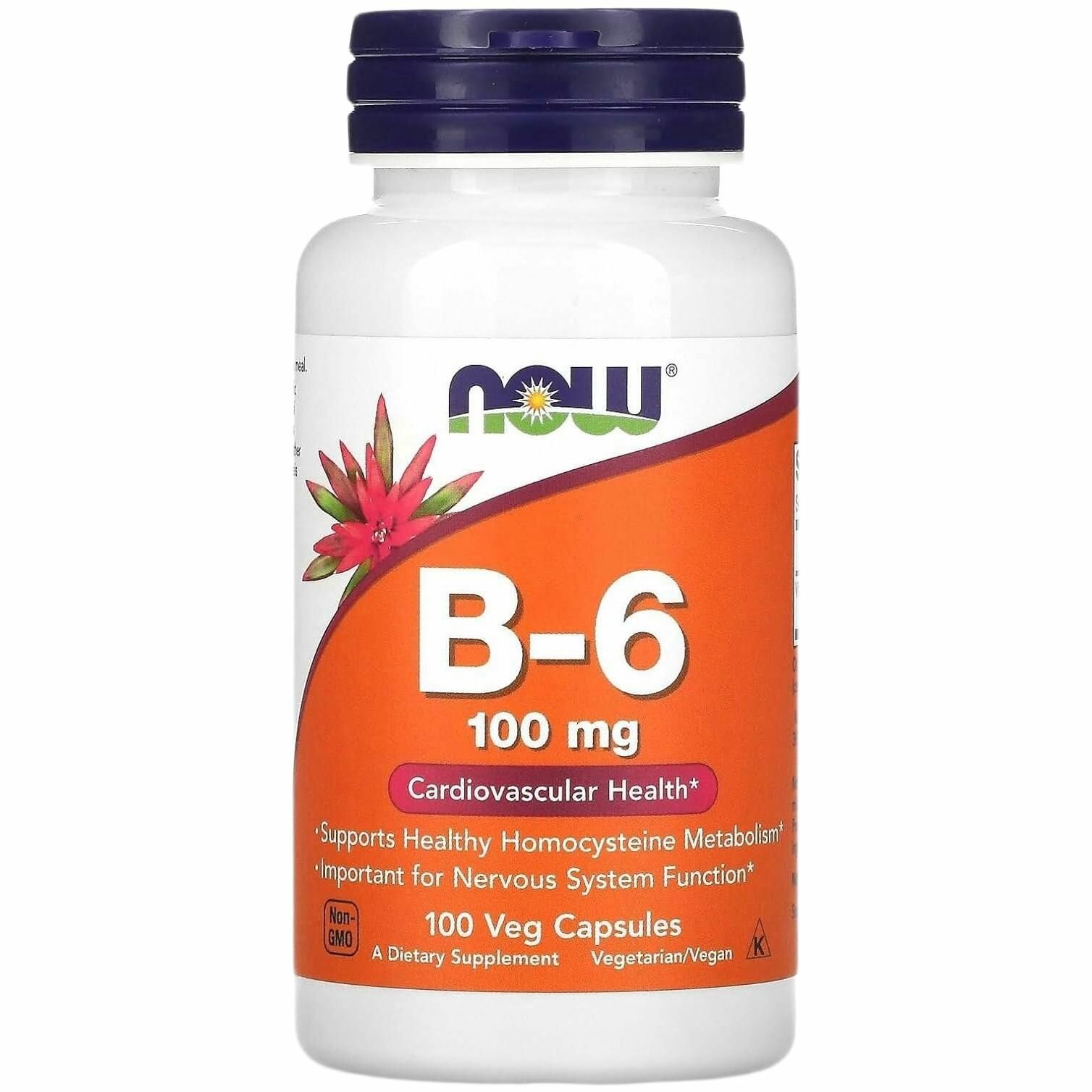 Витамин B-6 100 mg (Б-6 100 мг) 100 капсул