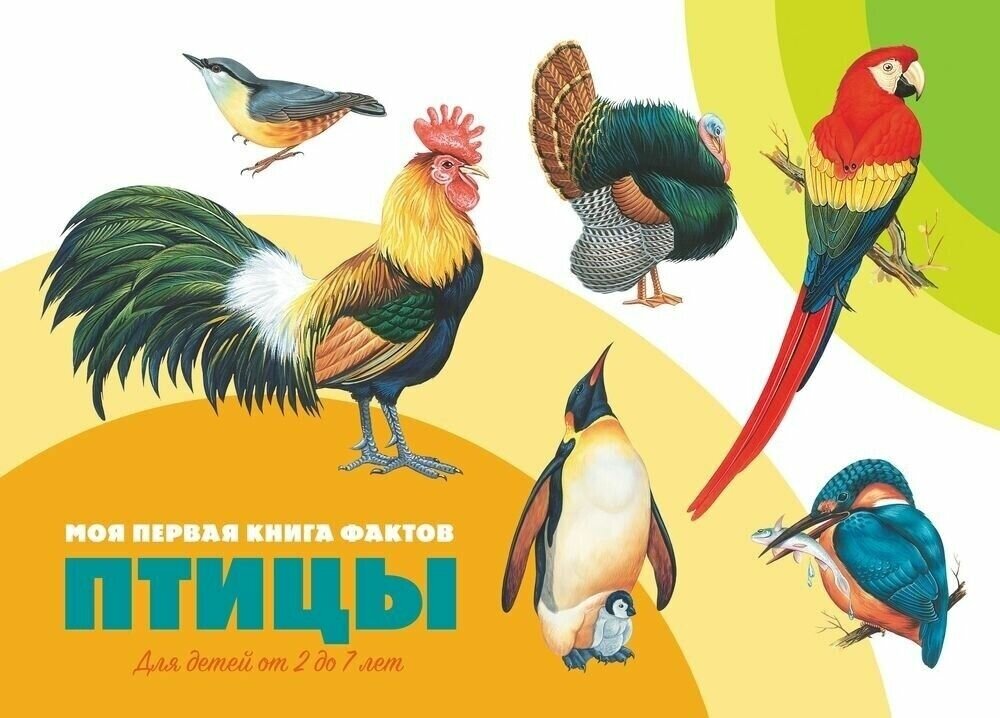 Моя первая книга фактов ND Play Птицы. Развивающая, для детского чтения (978-5-9068-4363-0)