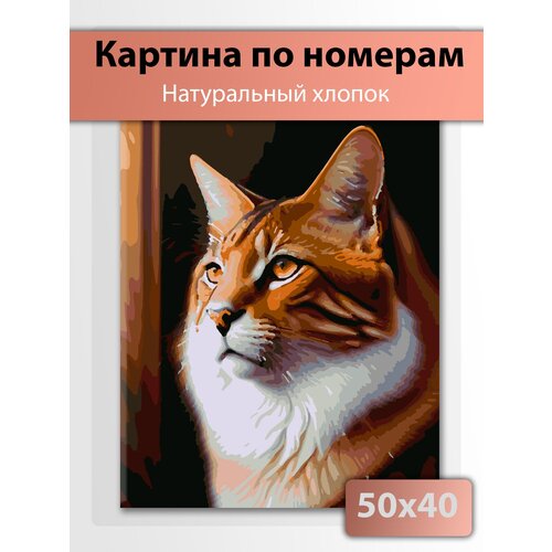 Картина по номерам на холсте 40 х 50 Рыжий кот
