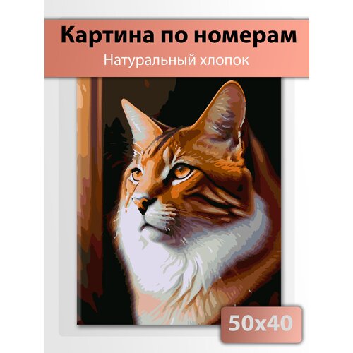 раскраска картина по номерам анонимус anonimus компьютер хакер 40x50 на холсте производство россия gb4050 0183 greenbrush Картина по номерам на холсте 40 х 50 Рыжий кот