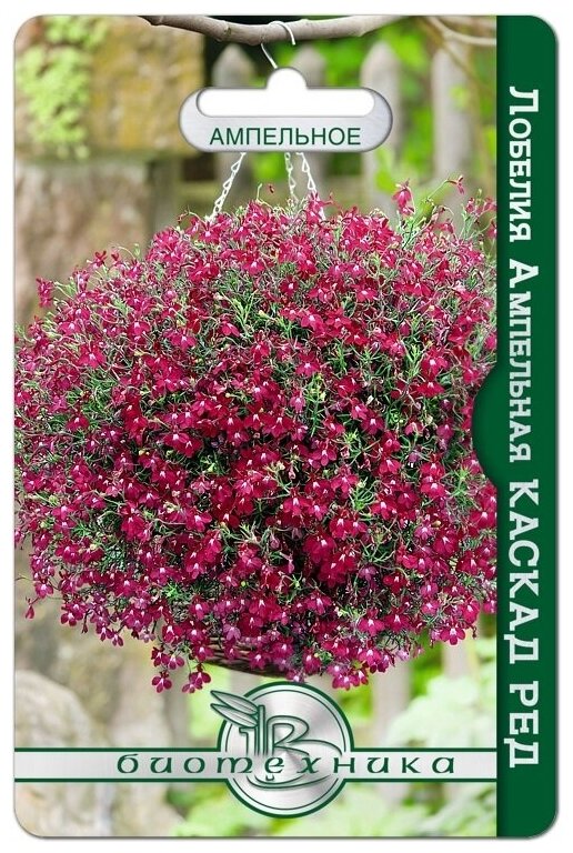 Семена ампельных цветов — купить по низкой цене на Яндекс Маркете