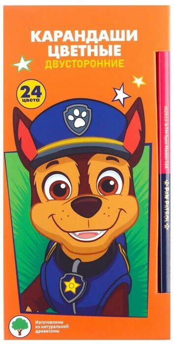 Карандаши цветные 24 цвета, двусторонние, Paw Patrol