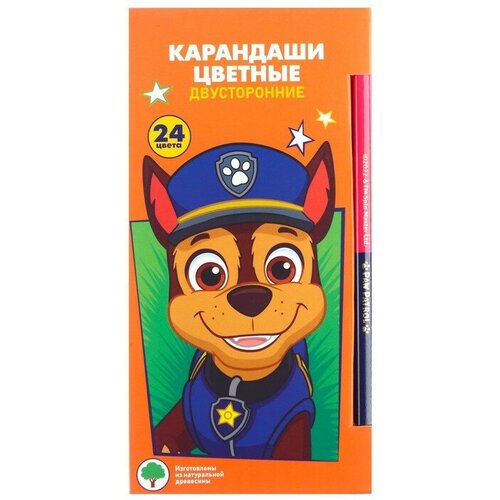 Карандаши цветные 24 цвета, двусторонние, Paw Patrol