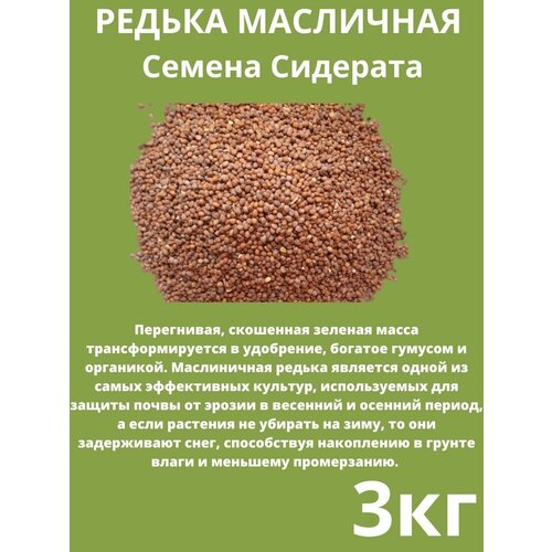 Редька Масличная 3 кг редька масличная 1 кг