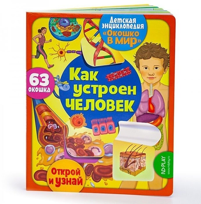 Детская энциклопедия ND Play Окошко в мир, Как устроен человек (293144)