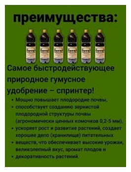 СоткА чернозема гумуса плодородия Гуми 20 гумусное удобрение спринтер. Набор 6 бутылок по 1 л. Подкормка для растений ОЖЗ Кузнецова - фотография № 3