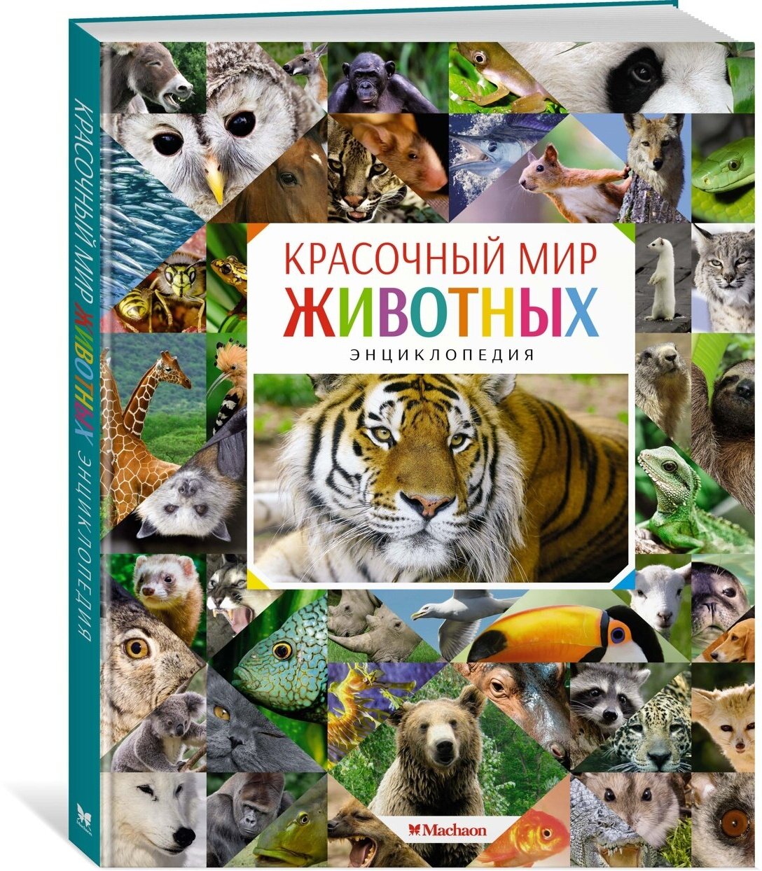 Книга Красочный мир животных