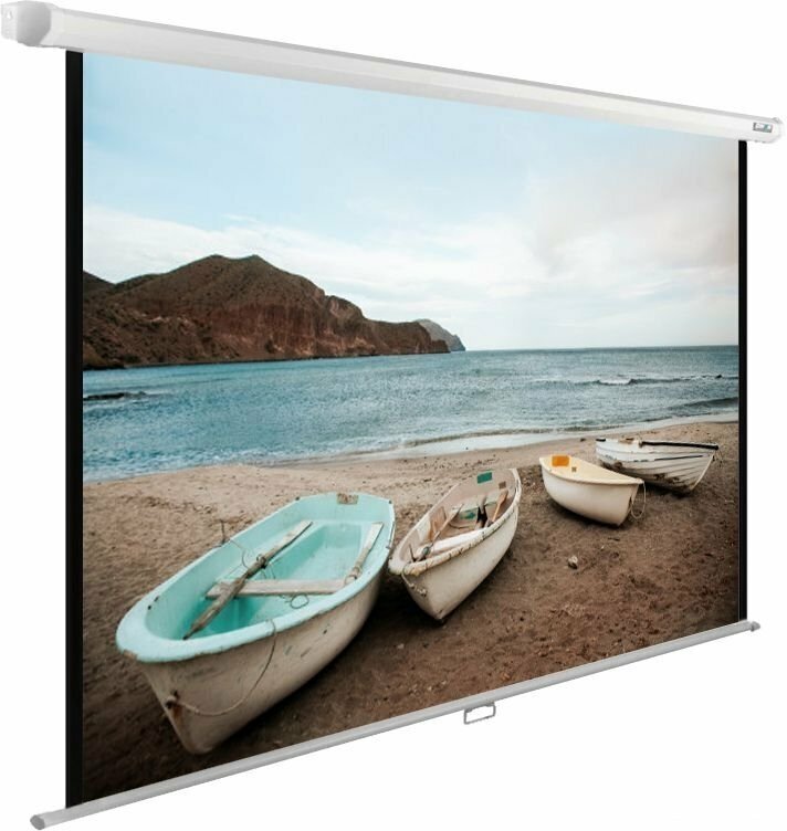 Рулонный cactus WallExpert CS-PSWE-220x165-WT