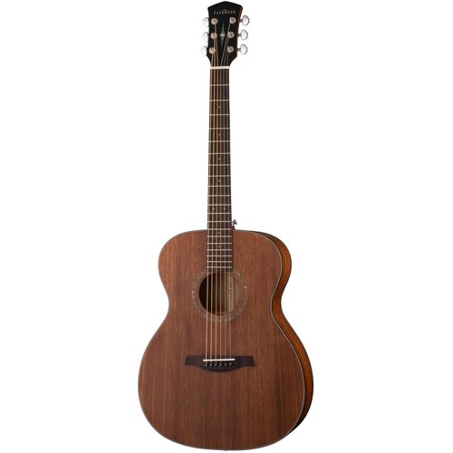S22M-NS Акустическая гитара, с чехлом, матовая, Parkwood