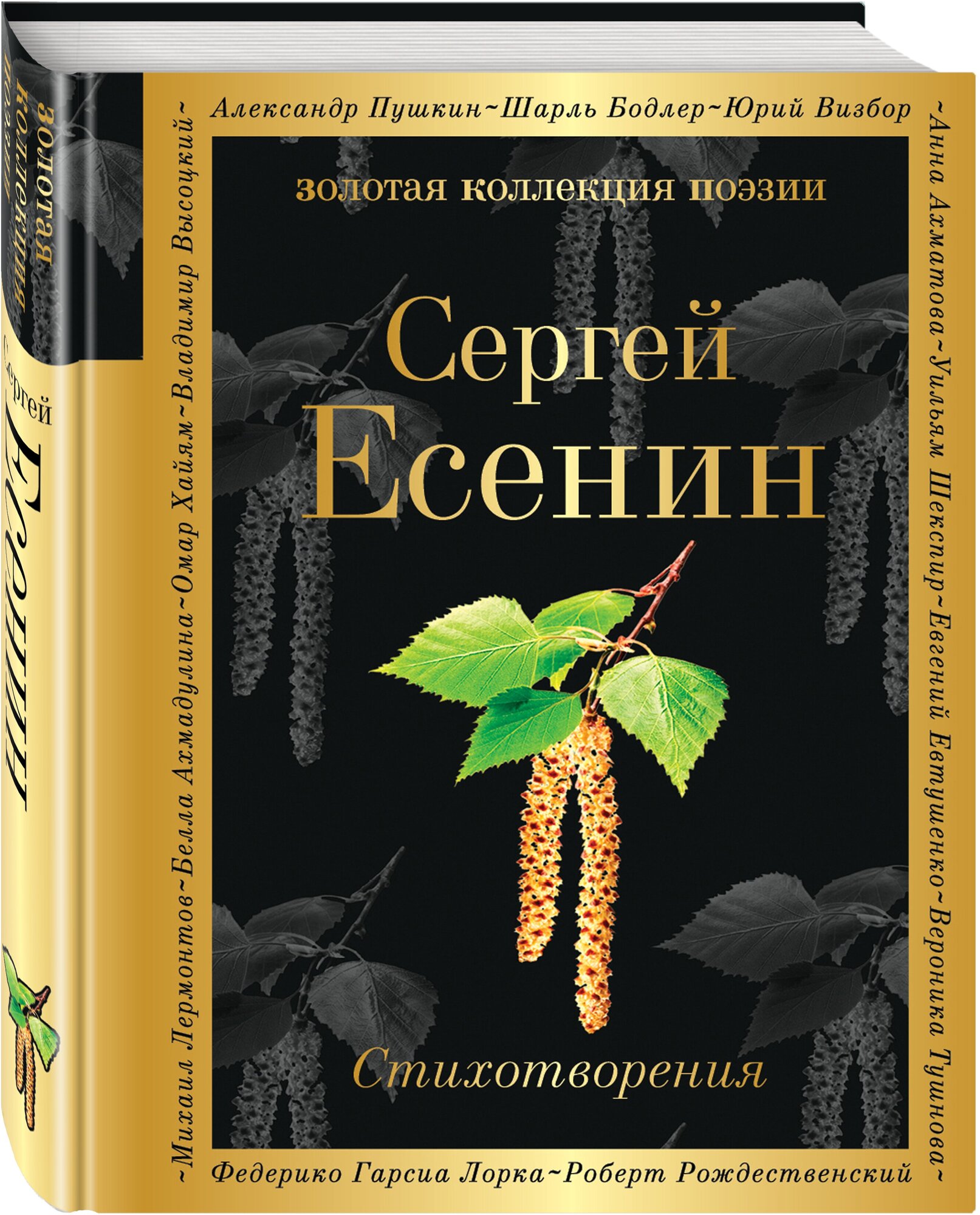 Стихотворения Книга Есенин Сергей 16+