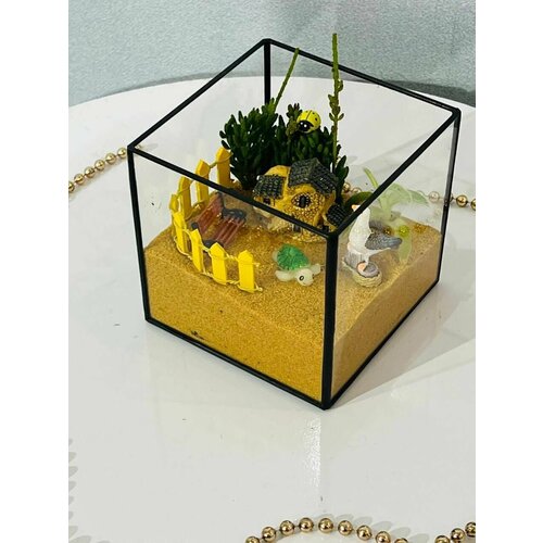 Флорариум детский куб / Суккулент / Ваза стекло