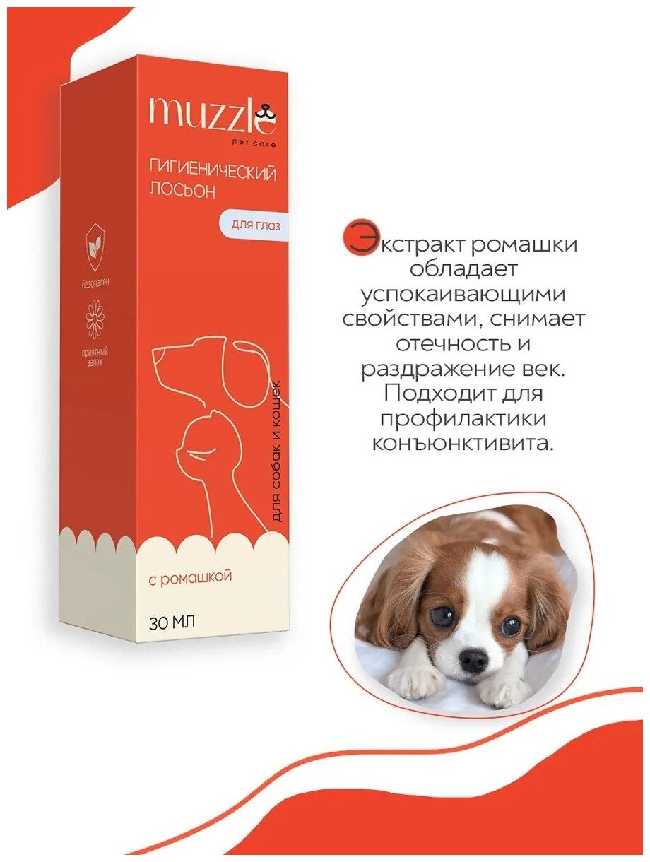 Очищающий лосьон для глаз Muzzle для собак и кошек / лосьон глазной гигиенический /уход за глазами, очищение / для чистки глаз животных, 30 мл