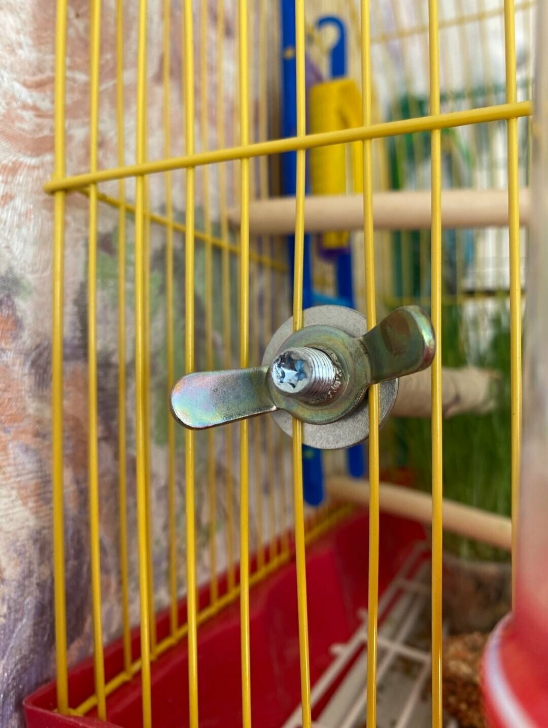 Жердочка для попугаев- 2 шт. из натуральной ветки, с корой, 150 мм - фотография № 9