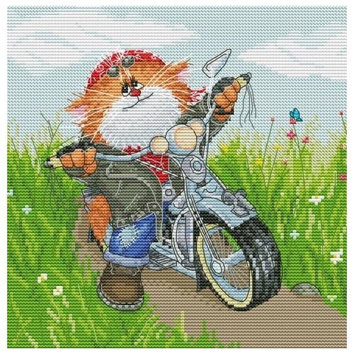фото Набор котоциклист вышивка крестом 20х20 белоснежка 176-14