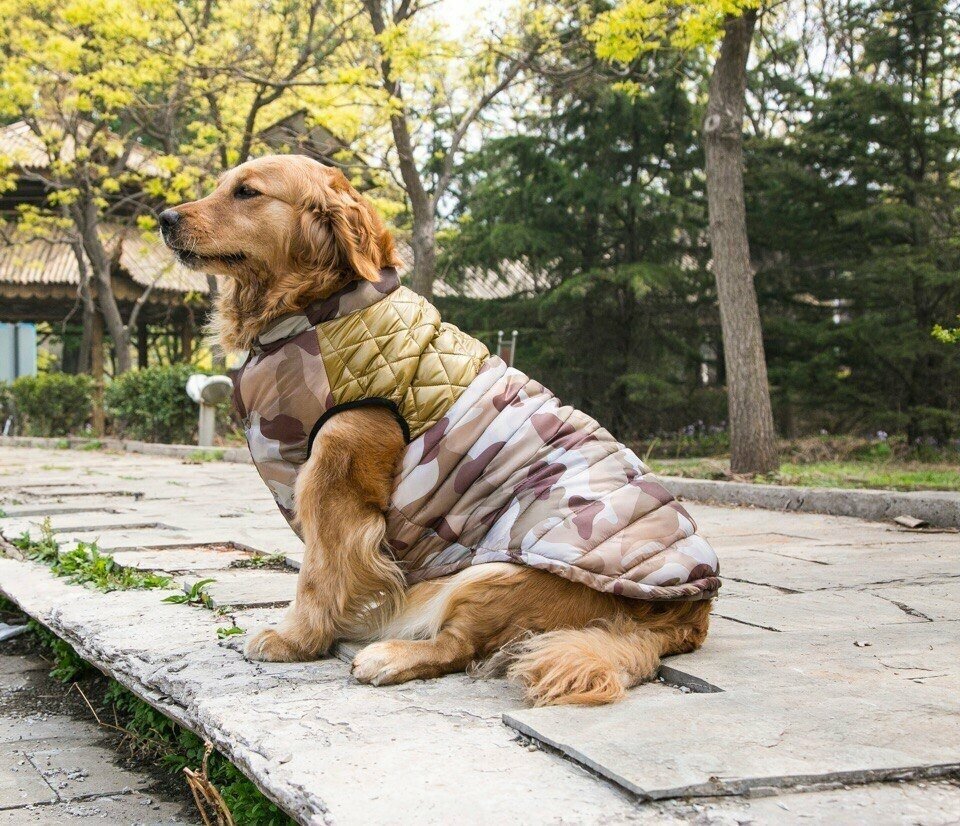 Жилетки для собак мелких, средних и крупных пород - фотография № 2