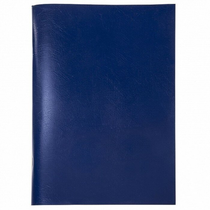 Тетрадь А4, 96 листов линия Синий, обложка бумвинил, блок 60 г/м2