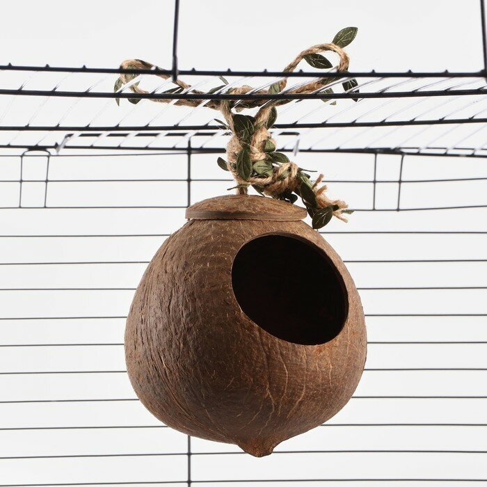 Гнездо для птиц из кокоса, d - 6 x 11 см 9093433 - фотография № 1