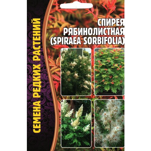 Спирея рябинолистная / SPIRAEA SORBIFOLIA, многолетник ( 1 уп: 0,02 г )