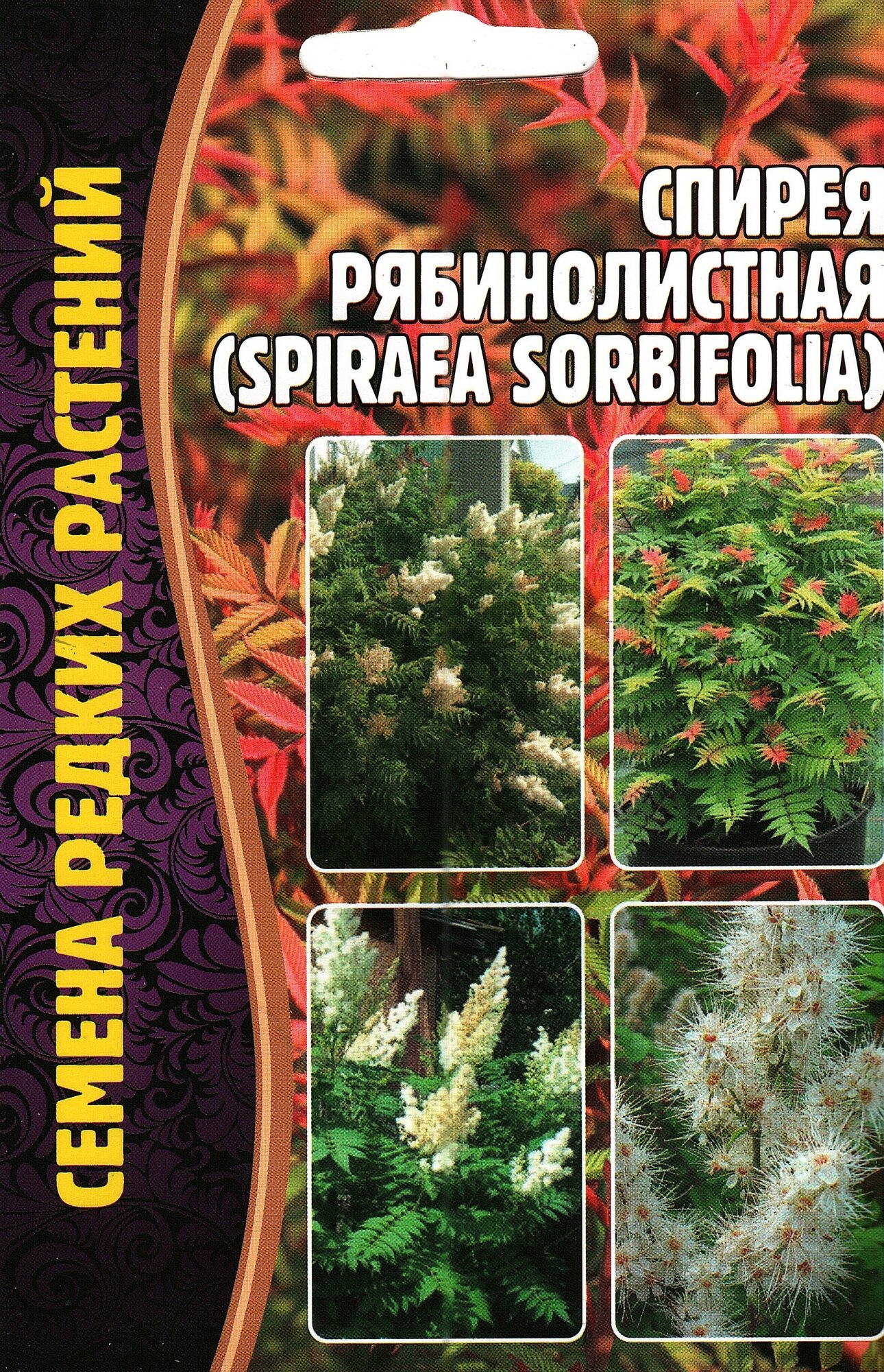 Спирея рябинолистная / SPIRAEA SORBIFOLIA многолетник ( 1 уп: 002 г )