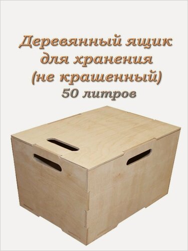 Изображение товара Ящик для хранения - 50л. Не крашенный.