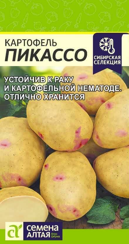 Картофель Пикассо 002г / СемАлт