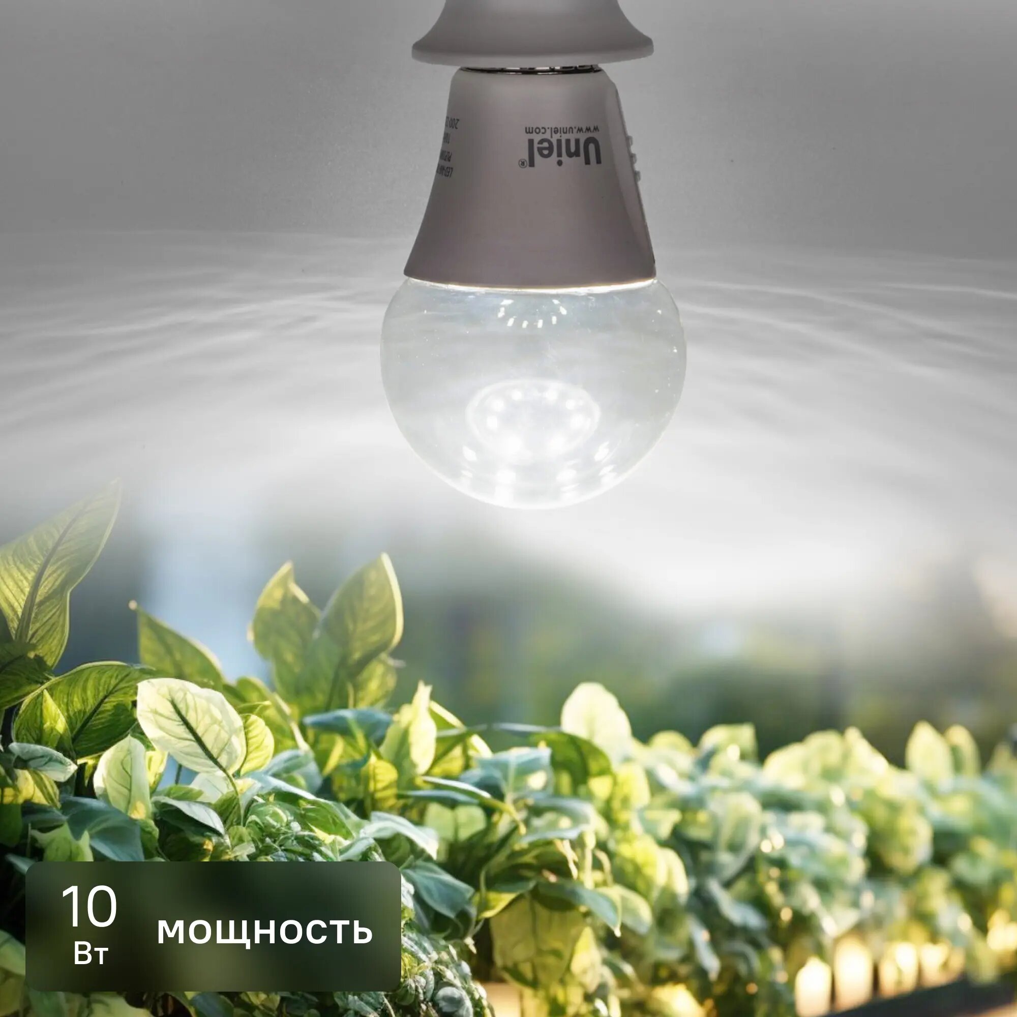 Фитолампа светодиодная Uniel E27 10 Вт груша нейтральный белый свет для растений